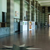 DSCF3170