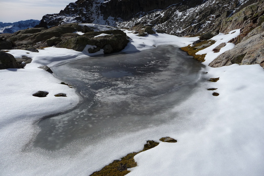 P1020145 - P1020145.jpg P1020145.jpg