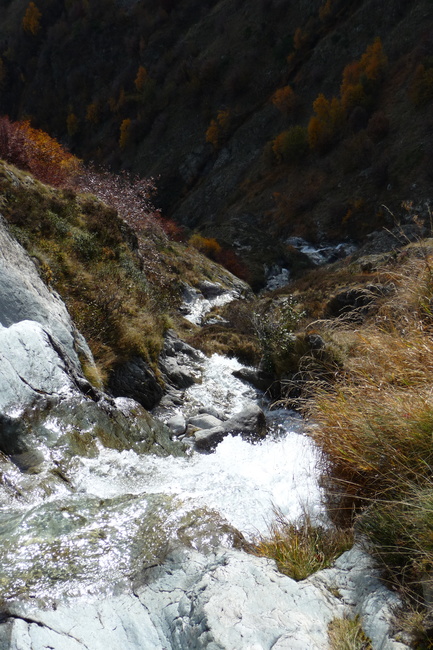 P1020161 - P1020161.jpg P1020161.jpg