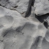 P1050823