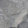 P1050824