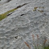P1050828