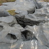 P1050833