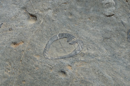 P1050858