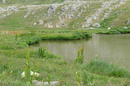 P1050864