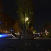 DSC 0659