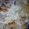 P1020166