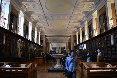 DSC 1005