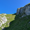 DSC 3146