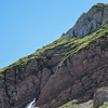 DSC 3168