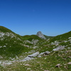 DSC 3169
