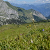 DSC 3175