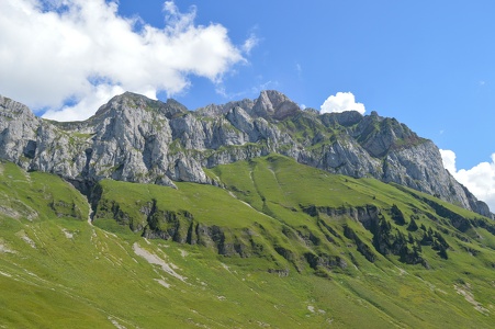 DSC 3202
