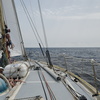 DSC 5009