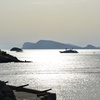 DSC 5020