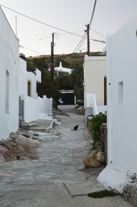 DSC 5078