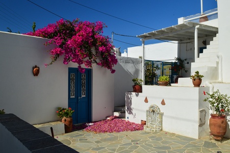 DSC 5089