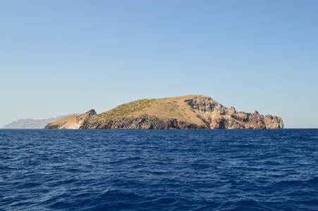 DSC 5118