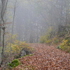 DSC 5509