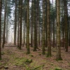 DSC 5510