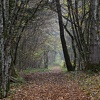 DSC 5511