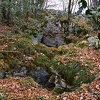 DSC 5513