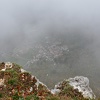 DSC 5517