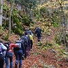 DSC 5528