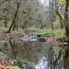 DSC 5531