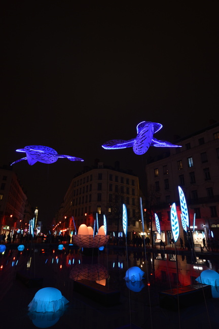DSC 5663 - DSC_5663.jpg DSC_5663.jpg