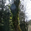 DSC 5823