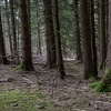 DSC 5865