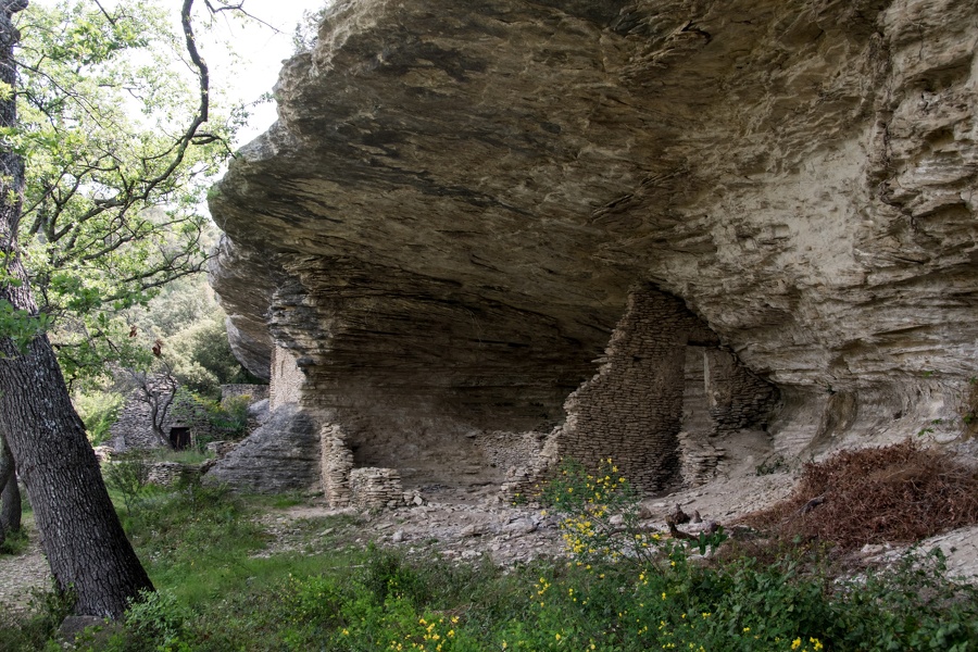 DS1_0039.jpg