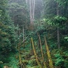 DSC 0013