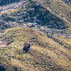 IMG 0920