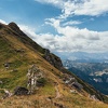 IMG 0995