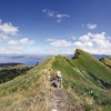 IMG 1486 IMG 1512
